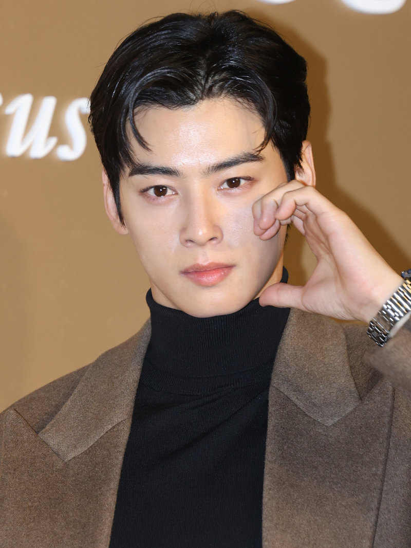 변호사 "차은우 탈세, 추징금 200억 중 60억~100억은 거짓말 대가" - 뉴스 썸네일 이미지