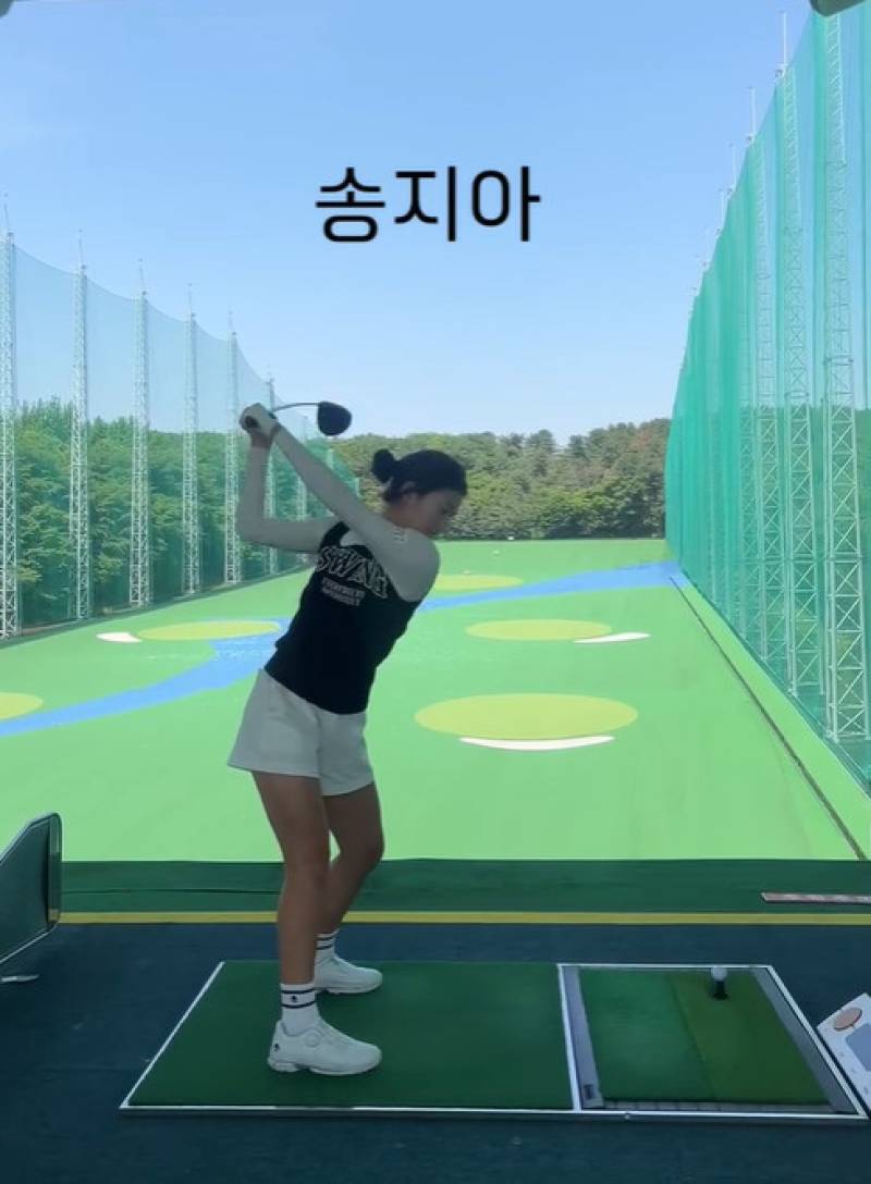 대표 이미지