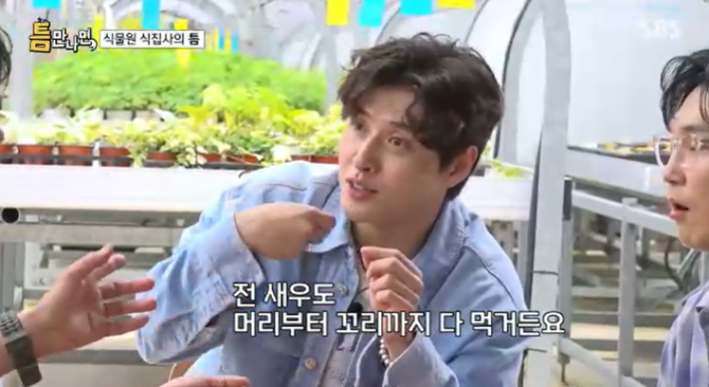 대표 이미지