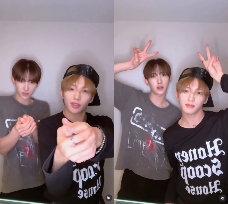 대표 이미지