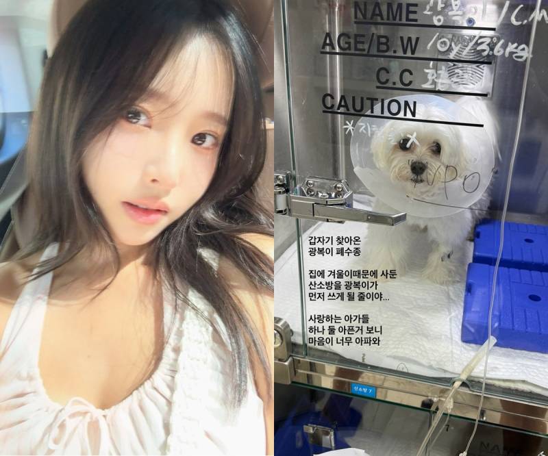 대표 이미지