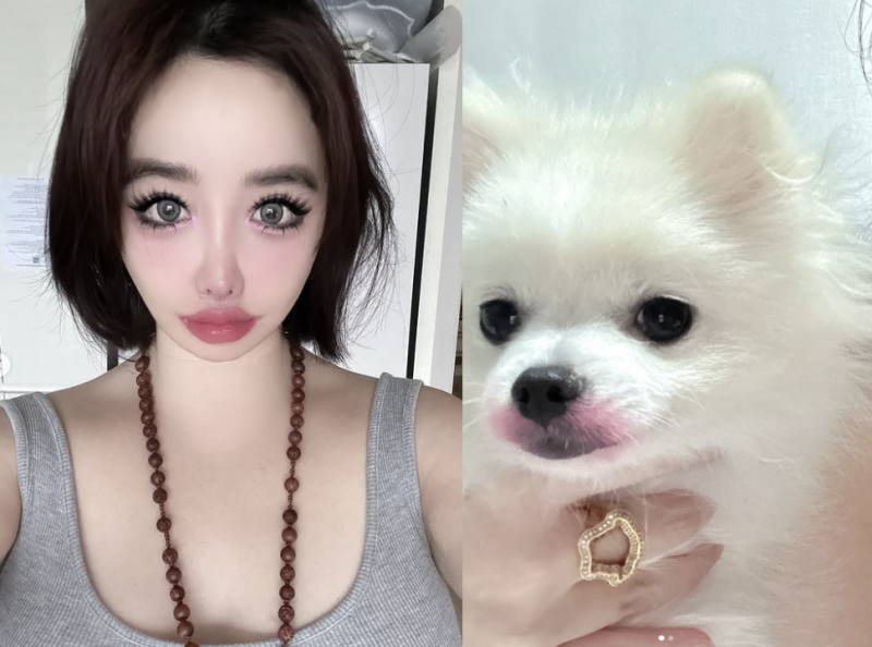 대표 이미지