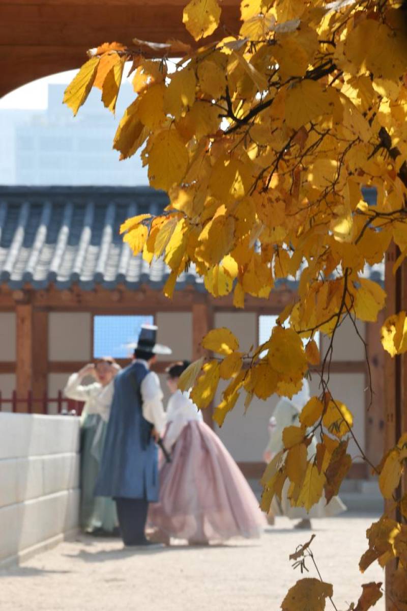 주말 전국 가을비, 제주 60㎜