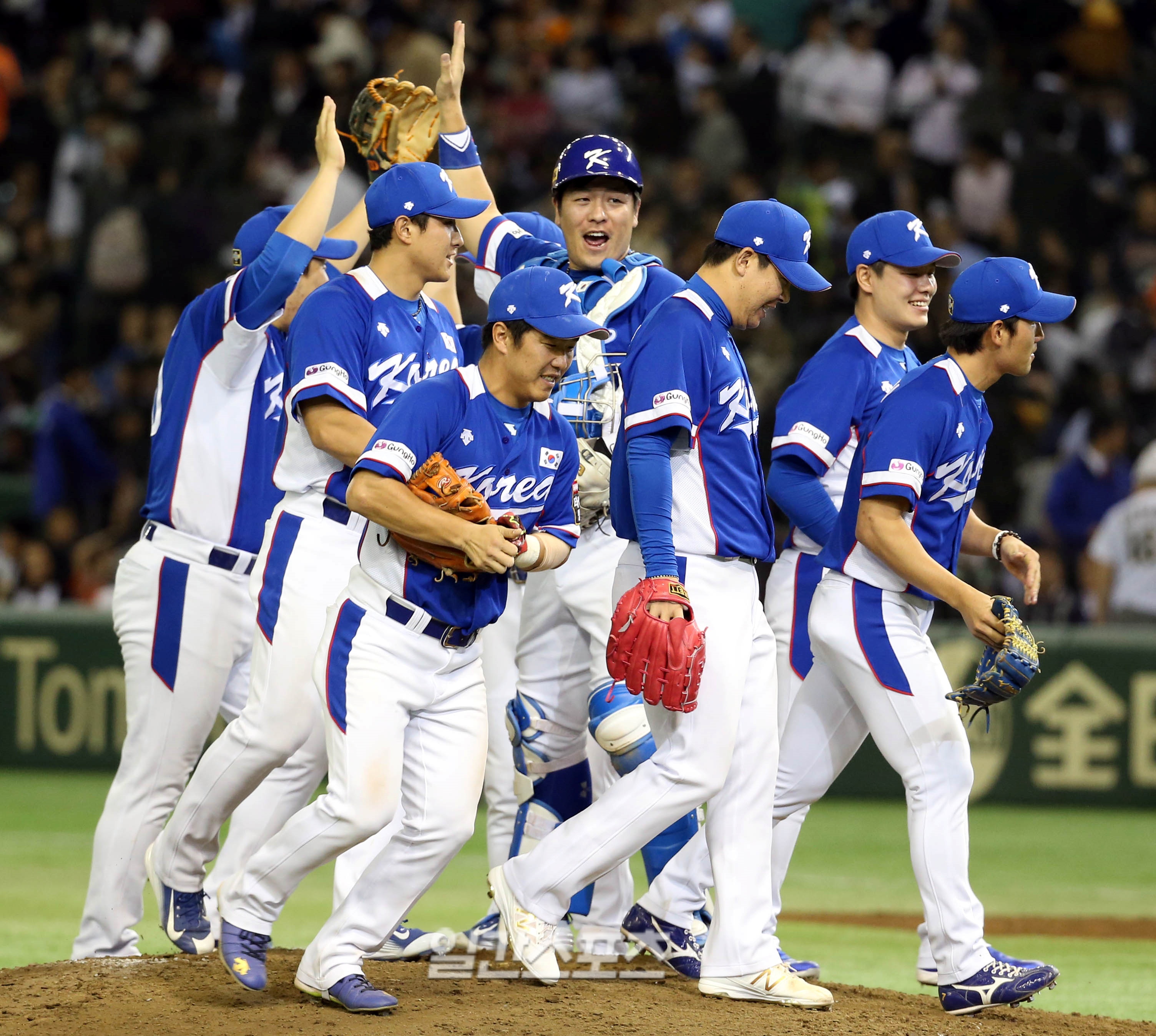 도쿄돔 한일전 포커스 이미지