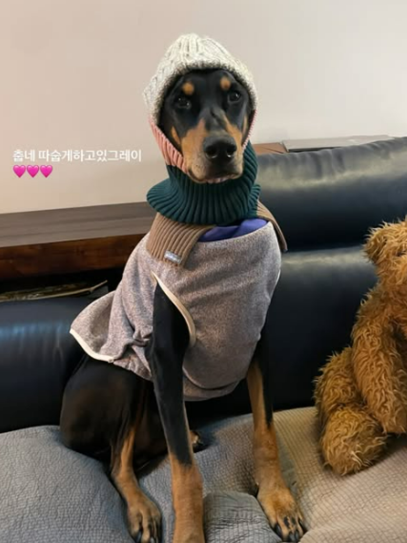 대표 이미지