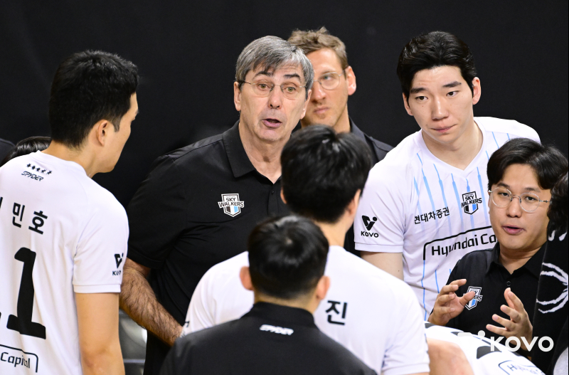 주전 세터 이탈·범실 급증...고전하는 '디펜딩 챔피언' 현대캐피탈 - 뉴스 썸네일 이미지