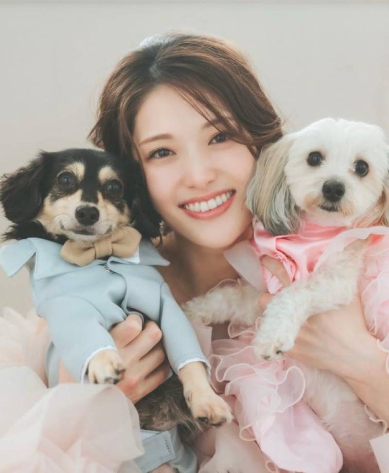 사유리, 비연예인과 결혼·임신 깜짝 발표