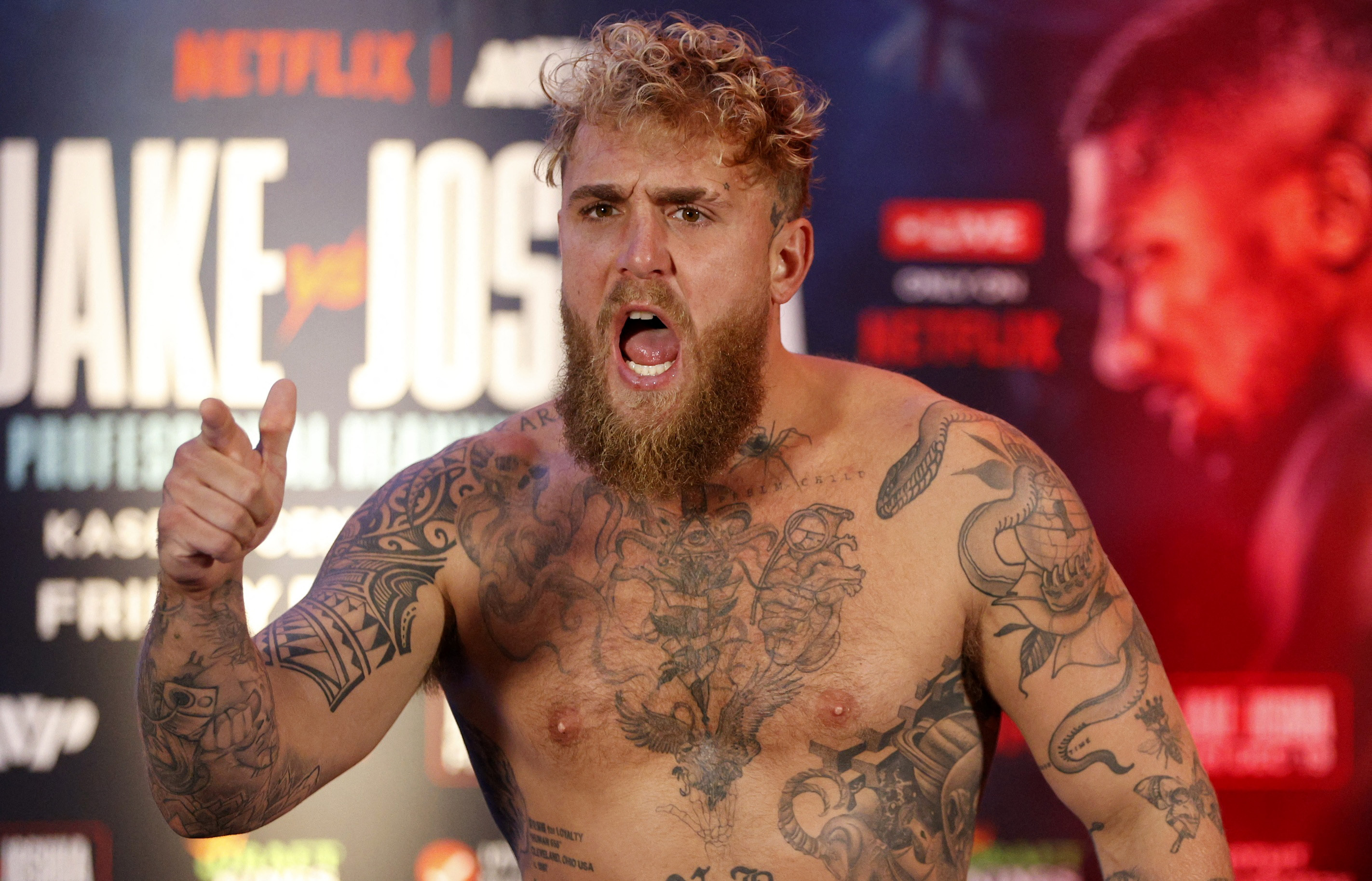 제이크 폴 관련 기사 이미지