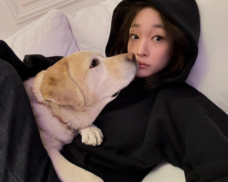 대표 이미지