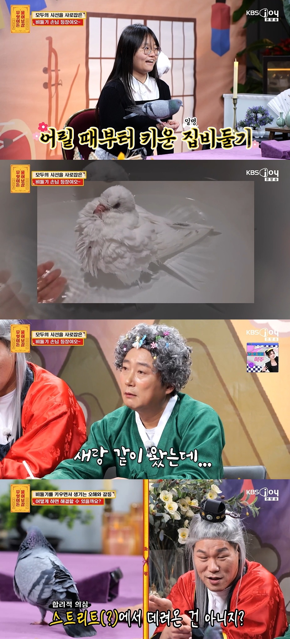 관련 연예 기사 페이지 대표 이미지