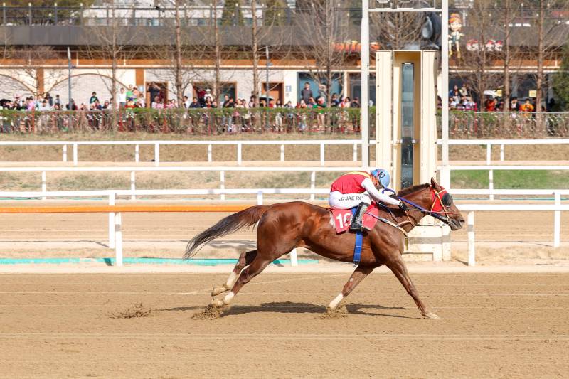 2년 연속 스프린터 시리즈 '삼관마' 탄생할까...빈체로카발로 주목 - 뉴스 썸네일 이미지