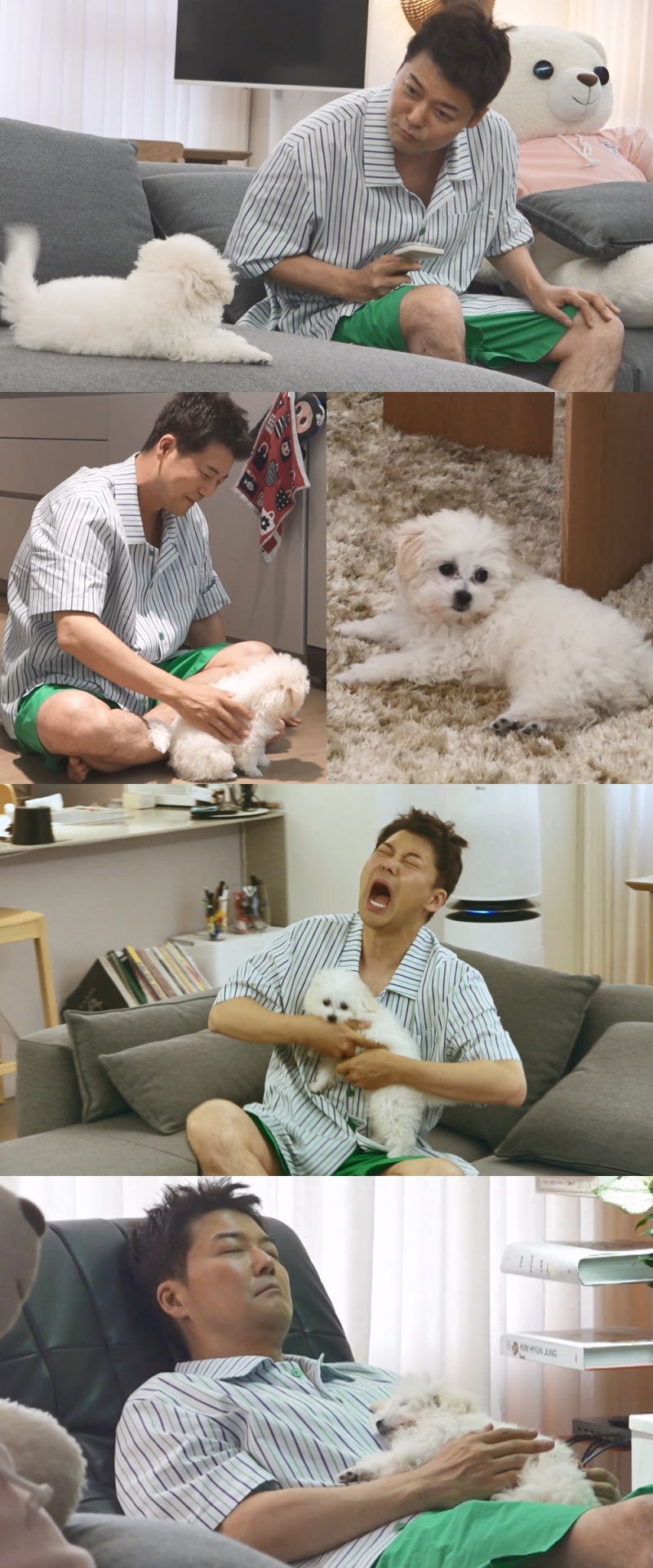 전현무, 70일 강아지와의 예쁜 일상
