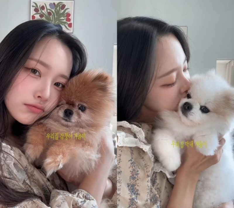 12살 반려견 재입원에 가슴 졸이는 박성광·이솔이 부부